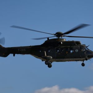 Spottersday 2019 Mathias Bijnens  16 
