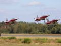 Spottersday 2019 Mathias Bijnens  17 