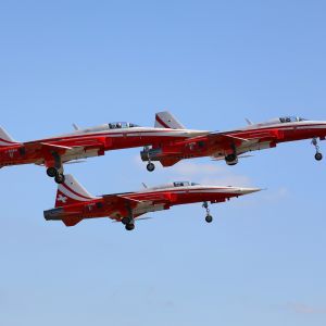 Spottersday 2019 Mathias Bijnens  19 