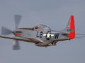 Spottersday 2019 Mathias Bijnens  27 