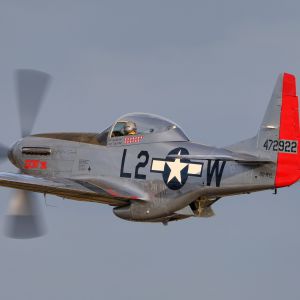Spottersday 2019 Mathias Bijnens  27 