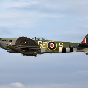 Spottersday 2019 Mathias Bijnens  28 