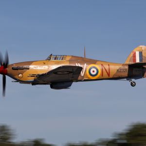 Spottersday 2019 Mathias Bijnens  5 