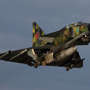 Spottersday 2019 Mathias Bijnens  8 