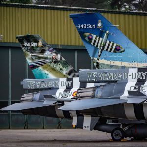 SpecialPaint 349 8 1