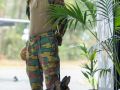IMG 7082