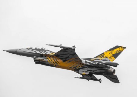 Tiger Paint 21