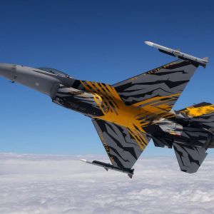 TIGER 6