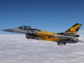 TIGER 8