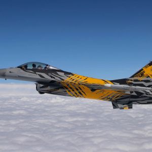 TIGER 8
