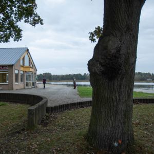 Orientatie Cross  De Plas   2 