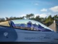 F 16 Solo Display BAF  5 
