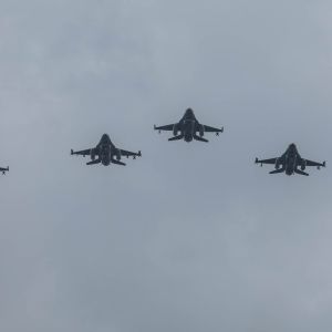 IMG 9908