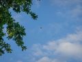 DSC00548