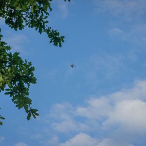 DSC00548