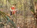 IMG 4534