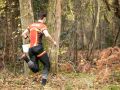 IMG 4538