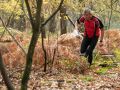 IMG 4542