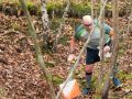 IMG 4619
