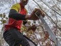IMG 4713