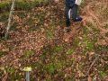 IMG 4758