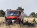 IMG 8391