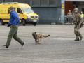 IMG 9081