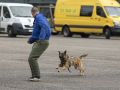 IMG 9084