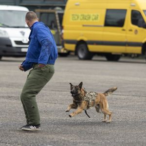 IMG 9084