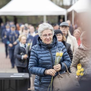 IMG 2778