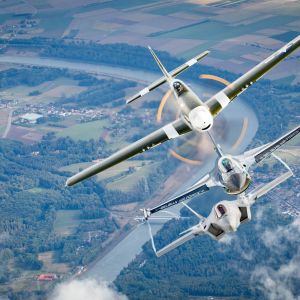 P51  9 