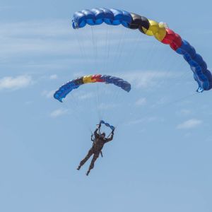 PARA  1 
