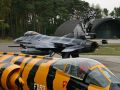 10WINF090909090 ROLL OUT FA 87 TIGER
