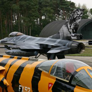 10WINF090909090 ROLL OUT FA 87 TIGER