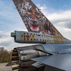 Tiger tail2019  1 