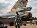 Tiger tail2019  2 
