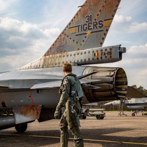 Tiger tail2019  2 