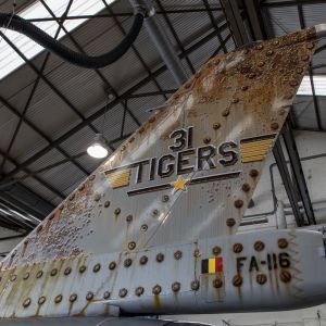 Tiger tail2019  4 