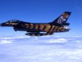 Tigertails 1