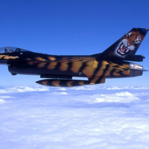 Tigertails 1