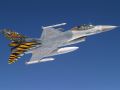 Tigertails 4