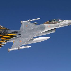 Tigertails 4