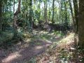 KeeBee MS Mountainbike 7 Sep 2019 Houthalen 48
