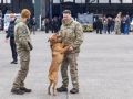 pr kleine brogel air base