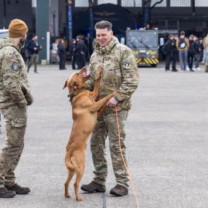 pr kleine brogel air base