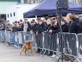 pr kleine brogel air base