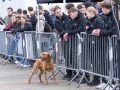 pr kleine brogel air base