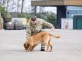 pr kleine brogel air base