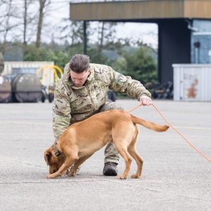 pr kleine brogel air base