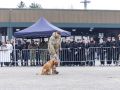 pr kleine brogel air base